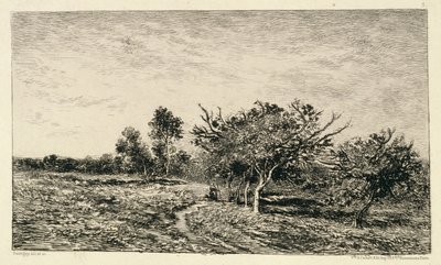 Apple Trees at Auvers by Charles Francois Daubigny